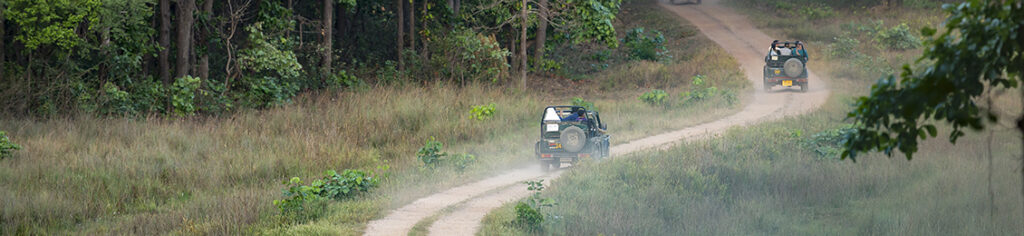 tiger safari tour in india using jeeps